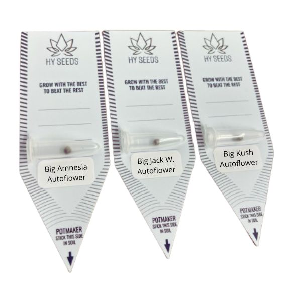 Big Autoflower Zaden Mix