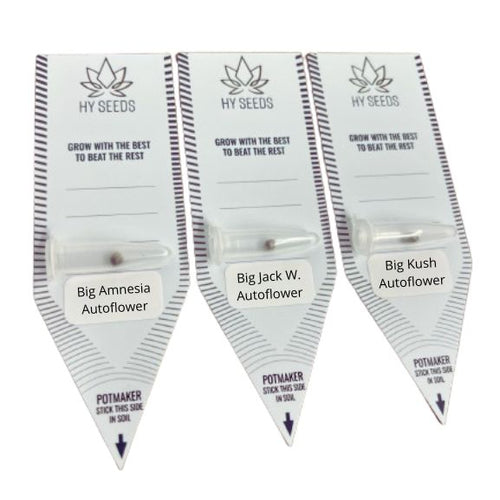 Big Autoflower Zaden Mix