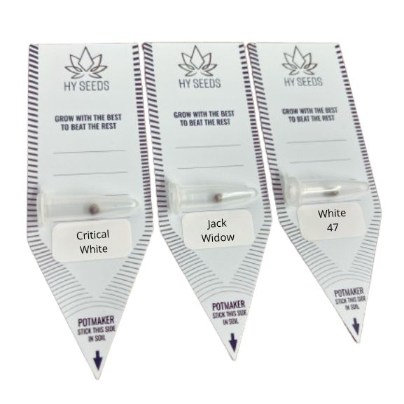 White Widow Zaden Mix