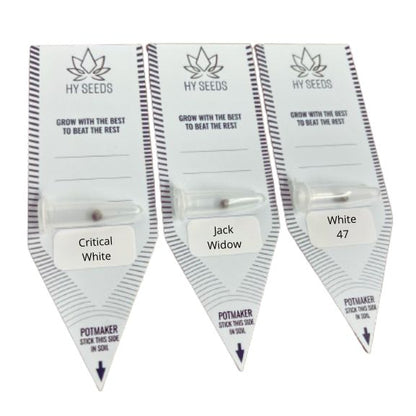 White Widow Zaden Mix