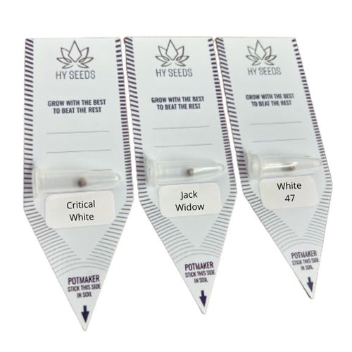 White Widow Zaden Mix