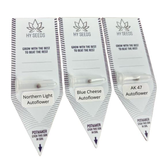 Autoflower Zaden Mix