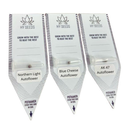 Autoflower Zaden Mix