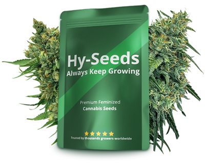 Hy-Seeds