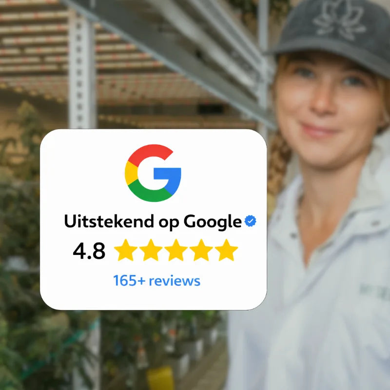 HS HvyWeight Premium Zaden